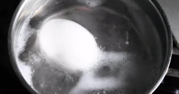 在煮开水的平底锅里煮一个白鸡蛋的特写 — 图库视频影像
