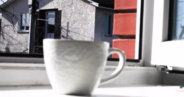 Sabahları Beyaz Bir Bardak Sıcak Içecek Pencerenin Kenarında Durur Günaydın — Stok video