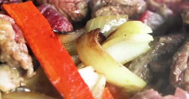 玉ねぎとニンジンで牛肉を調理する 家族の夕食 — ストック動画