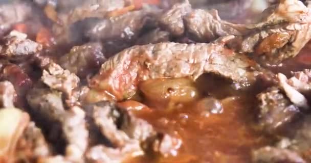 Sartén Cocinar Carne Cortada Trozos Una Sartén Con Verduras Vista — Vídeo de stock