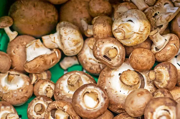 brown champignon mushrooms in a box in a supermarket. healthy vegan food