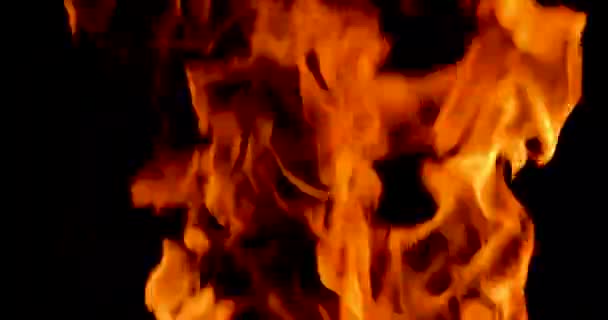 Llama Fuego Sobre Fondo Oscuro Desastres Incendios Desastres Naturales Catástrofe — Vídeos de Stock