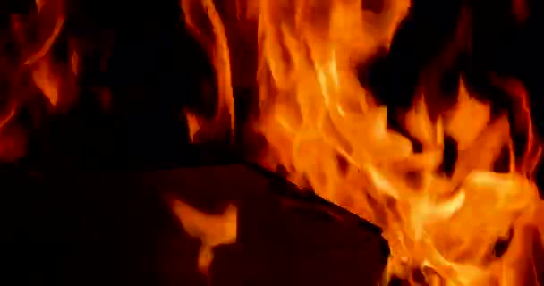 Fuoco Nella Stanza Uno Sfondo Scuro Disastri Incendi Disastri Naturali — Video Stock