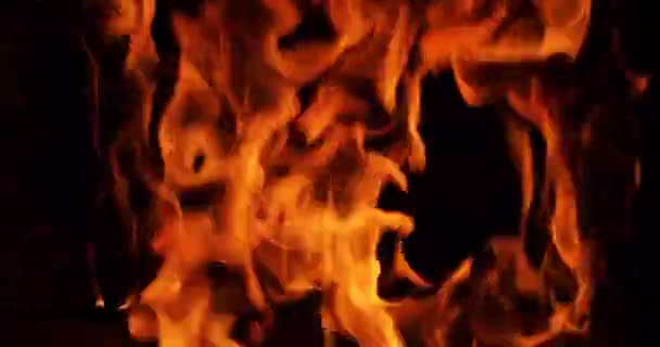 橙色的火焰在黑暗的背景上燃烧 自然灾害 生态多样性 — 图库视频影像