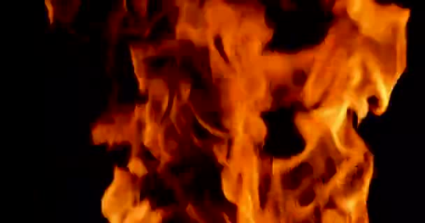 Vuurvlam Een Donkere Achtergrond Rampen Branden Natuurrampen — Stockvideo