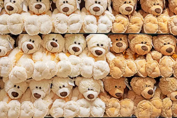 Lucu Mainan Lembut Putih Dan Coklat Boneka Beruang Meja Toko — Stok Foto