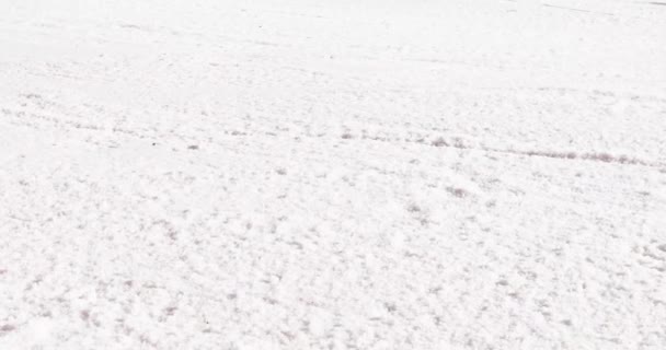 Лижник Прихованому Снігу Рано Вранці Сніговому Курорті Сімейна Активність — стокове відео