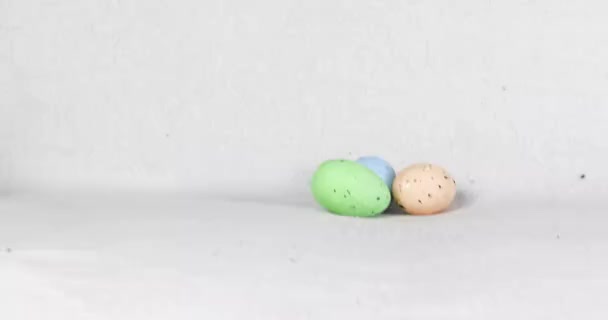 Lustiger Jack Russell Welpe Schnüffelt Ostereier Ostern Aufzucht Und Pflege — Stockvideo