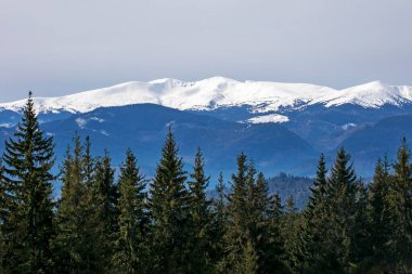 Güneşli bir günde bir kayak merkezinde dağ zirveleri. Aileyle sağlık tatili