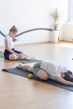 Jack Russell Terrier köpek yavrularıyla spor salonunda grup yoga dersi. Sağlıklı yaşam tarzı