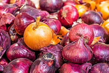 Süpermarkette tezgahta sarı soğanlı mor çiftlik soğanı.