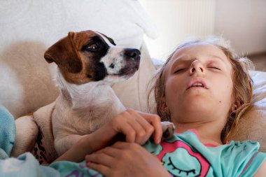 Tatlı bir Jack Russell teriyer köpeği kanepede uyuyan bir kızı izliyor. Arkadaş Günü