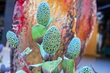 İç mekanda dekoratif eşantiyonların yakın çekimi