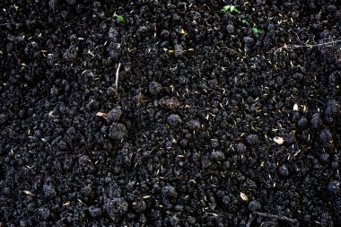 Taze kara topraktan soyut bir arkaplan. Çiftçilik