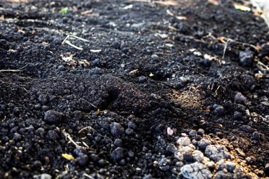 Taze kara topraktan soyut bir arkaplan. Ekme işi. Çiftçilik