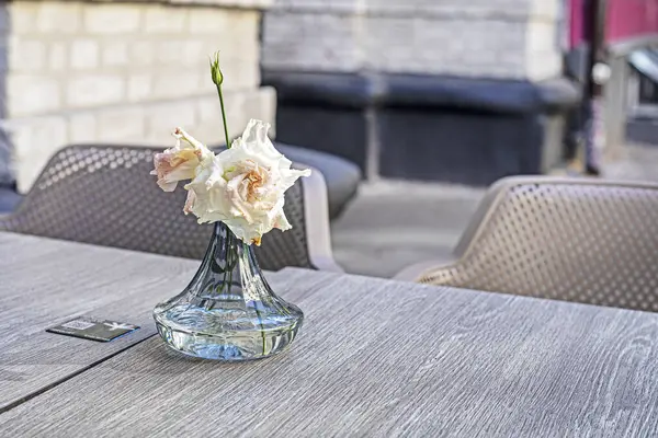 stock image rose flower in a vase on a table in a street cafe. modern decoration