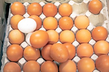 Süpermarkette tezgahın üzerinde kahverengi tavuk yumurtası tepsisi