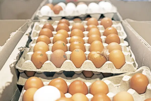 stock image tray of brown chicken eggs on the counter in a supermarket
