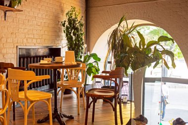 Ev çiçekleri olan modern bir kafe. Moda & Biçimi