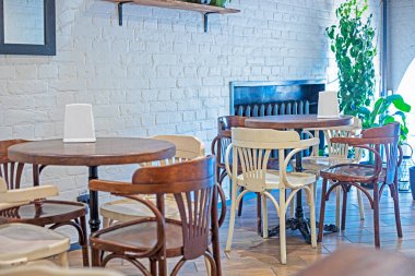 Ayna penceresi ve ev çiçekleri olan modern bir kafe. Moda & Biçimi