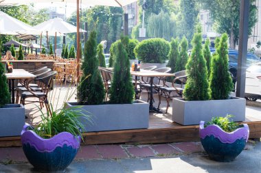 Şehrin güneşli ve sıcak bir gününde sokak kafesinde eşkıyalar var.