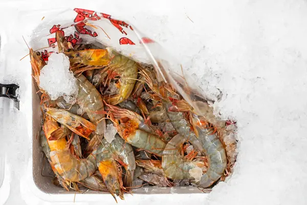 stock image fresh lobsters in a container on ice in a supermarket. Seafood