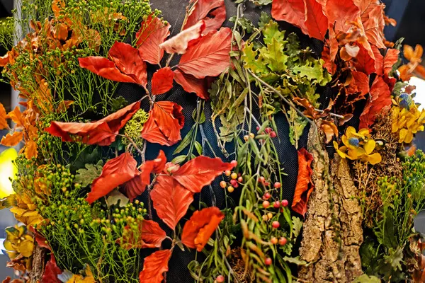 stock image abstract background of ikebana with dried flowers, grass and roots and bark. decorative interior in the house and in offices. Back to school