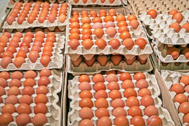 Karton kaplarda tavuk kahverengi yumurtalar süpermarkette yumurta tepsileri. Paskalya tatiline hazırlanıyorum. Ekonomik kriz