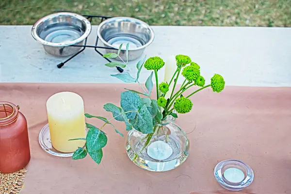 stock image beautiful bouquet of fresh flowers on the table next to dog bowls. Dog festival