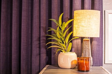 İç kısımda mor arka planda lambalı ev çiçeği. Ev konforu