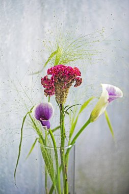 exotic flowers in a glass vase on a gray background. Interior and decorations clipart