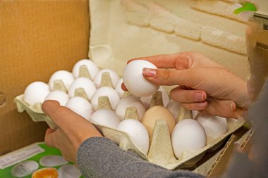 Tavuklu beyaz yumurta konteynırını tut. Tatil hazırlığı, ekonomik kriz