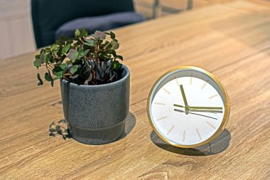 Masadaki çiçeğin yanındaki saat. Saati kış ve yaz saatine çeviriyorum. günlük rutin