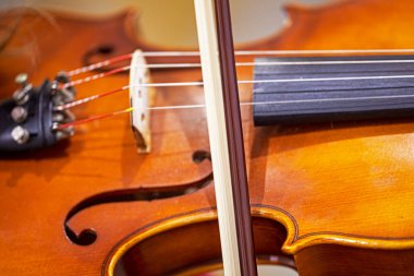 Öğrenci kemanı yaylı tellerle yakın plan