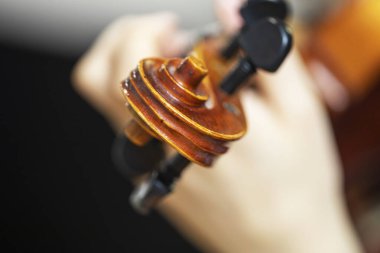 Sol elinizi kemanın üzerine koyun. Bir müzik aletinin el ve parmak pozisyonunu düzelt