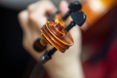 Sol elinizi kemanın üzerine koyun. Bir müzik aletinin el ve parmak pozisyonunu düzelt