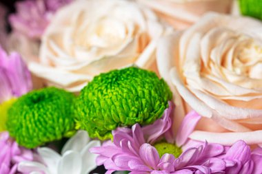 yakın plan yeşil paskalya tomurcukları ile güller