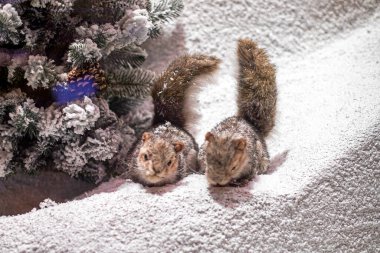 cute fluffy brown squirrels near the Christmas tree clipart