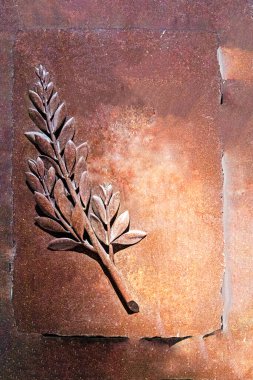 Kahverengi arka planda güzel bir defne dalı rahatlaması