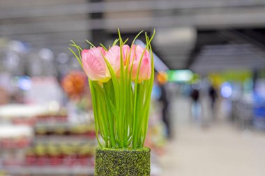 Süpermarkette pembe dekoratif laleler