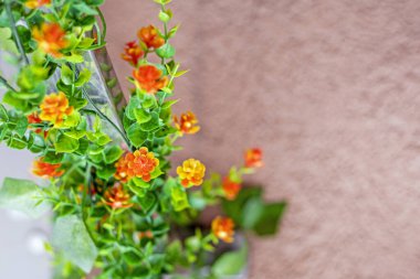 Tasarımda hafif arkaplan üzerinde narin turuncu çiçekler