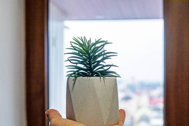 Bir odada sulu bir ailenin çiçeğini tutuyor.