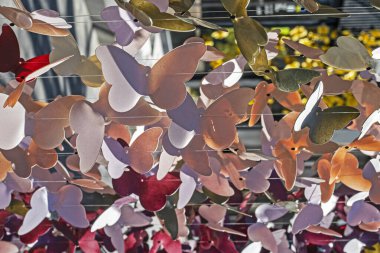 decorative multi-colored garlands with butterflies on a fishing line sway in the wind outside clipart
