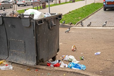 Yakınlarda çöp bidonları ve şehirde güvercinler var. Çevresel koruma. Çöp ayıklama