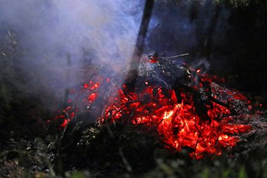 Protesto, devrim, cinsiyet eşitsizliği, doğal arkaplan, karanlık ve bulanık arka planda yanan bir fener dumanı..