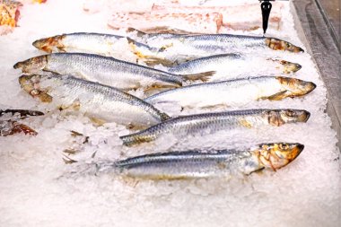 Süpermarkette buzda dondurulmuş taze çiğ deniz levreği balığı. Düzenli beslenme