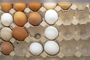 Süpermarketteki karton bir kutuda tavuk beyazı ve kahverengi yumurtalar.
