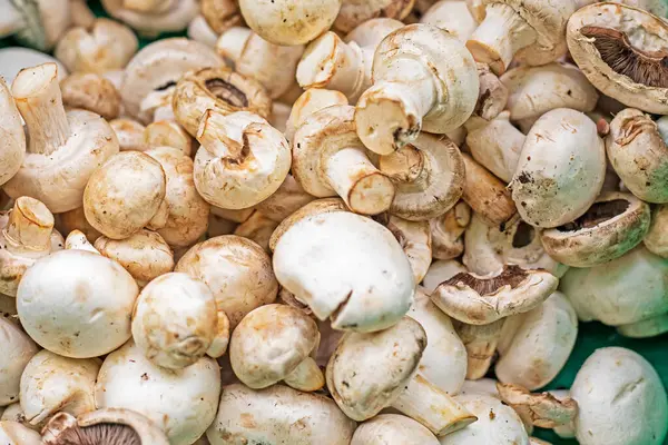 Süpermarkette konteynırlarda ağırlıklarla şampiyon mantarları. sebze proteini