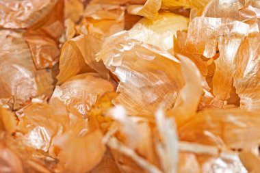 Altın soğan kabuğunun soyut arkaplanı