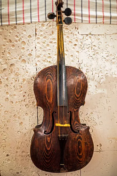 Eski akçaağaçtan yapılmış antika bir keman.